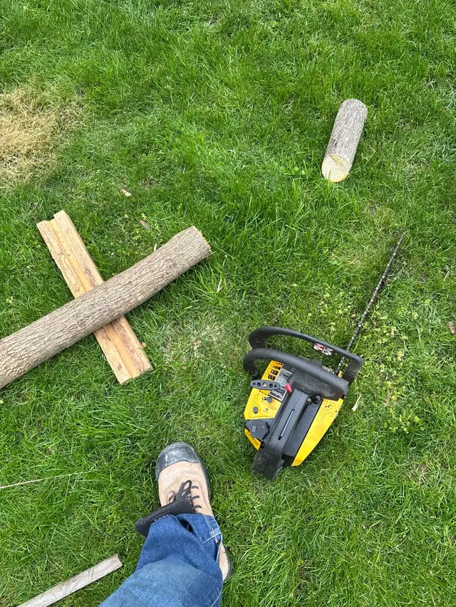 small tree Services ( Fair price ) - Photo 3