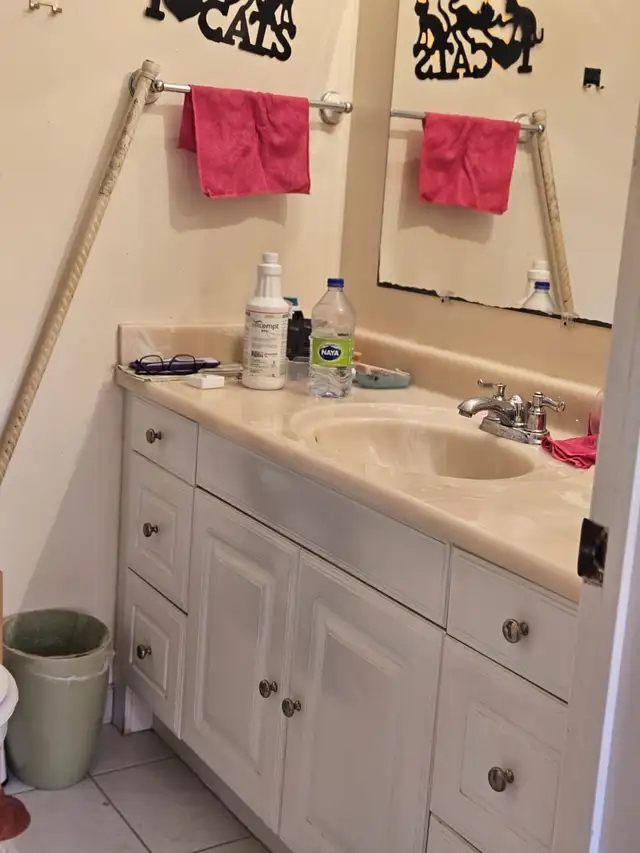 Room for Rent Close To York U, Env.Can, Sanofi Pasteur, UoT Aero - Photo 4