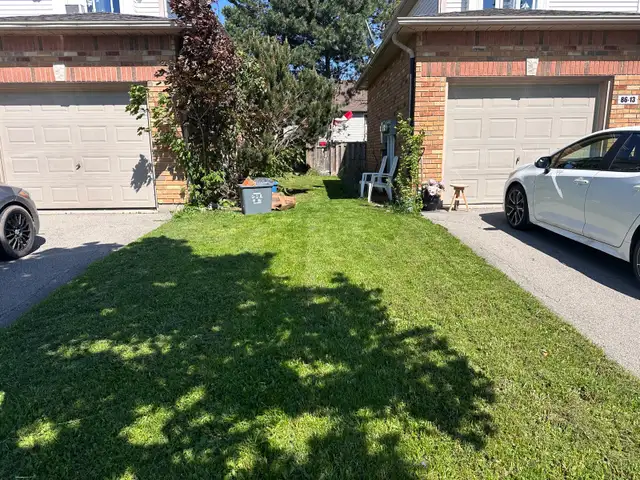 lawn cutting in niagara region /  cleaning - Photo 3