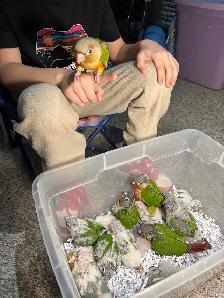 Baby Conures Hand fed Babies friendly and tamed ❤️ - Photo 8