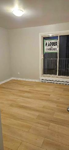 Grand 4 1/2 rénové à louer Pointe-Aux-Trembles - Photo 9