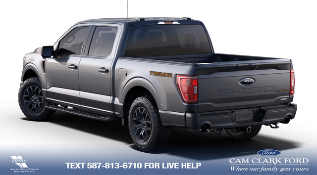 2023 Ford F-150 Tremor - Photo 2
