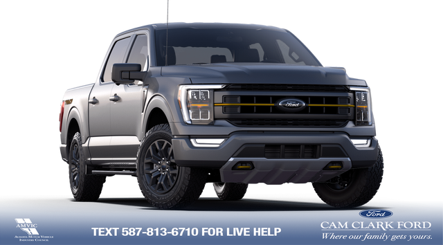 2023 Ford F-150 Tremor - Photo 5