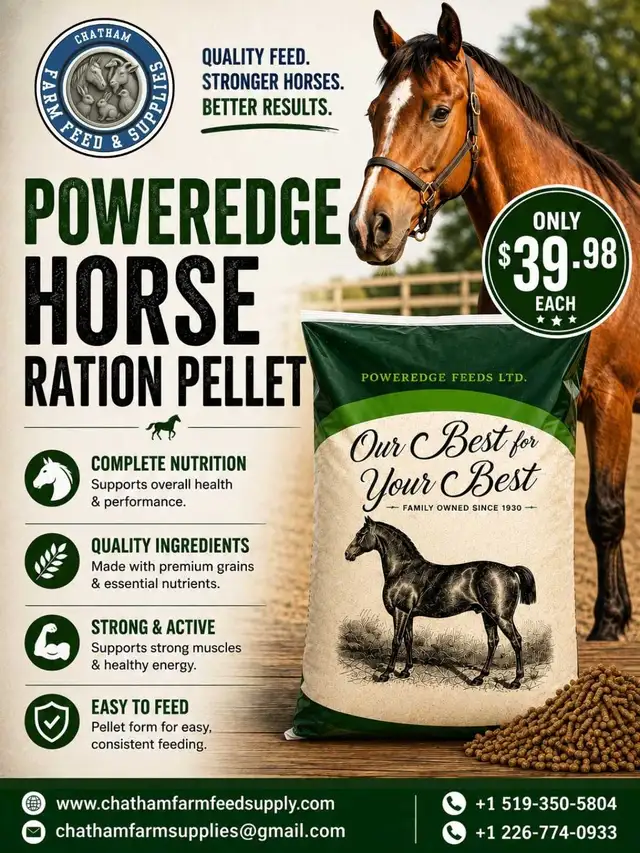 Premium Horse Ration- Poweredge with Jones Nutrition