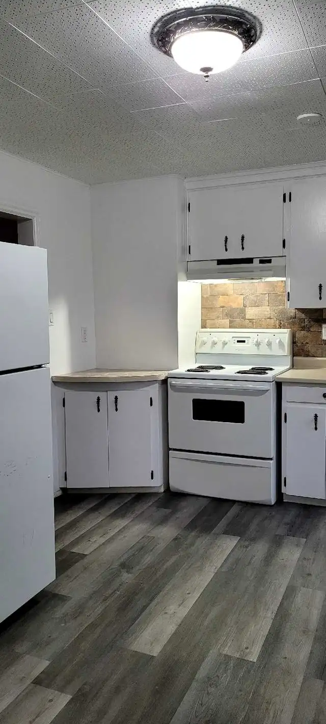 Bright Centrally Located One Bedroom for Rent - Photo 2