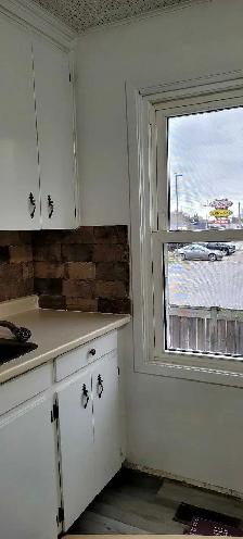 Bright Centrally Located One Bedroom for Rent - Photo 3