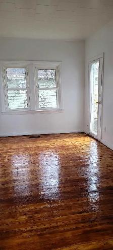 Bright Centrally Located One Bedroom for Rent - Photo 4