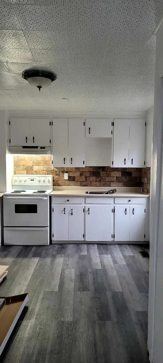 Bright Centrally Located One Bedroom for Rent - Photo 5