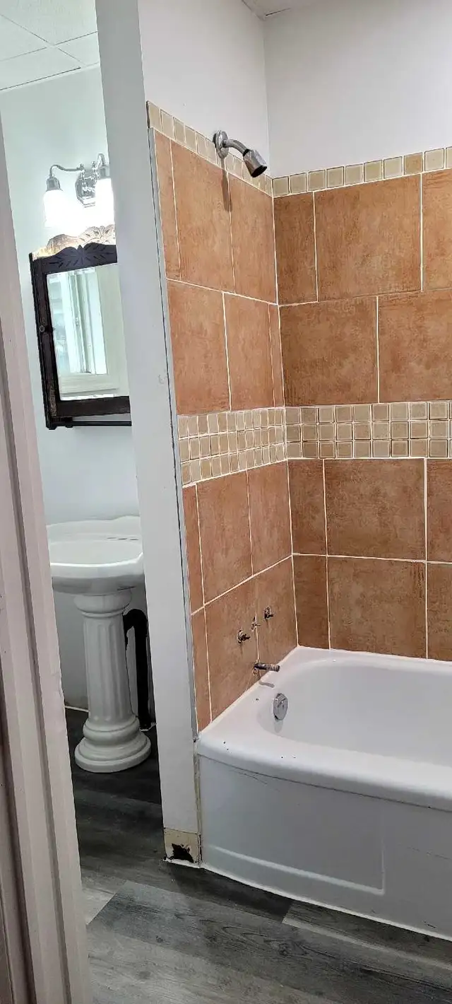 Bright Centrally Located One Bedroom for Rent - Photo 9
