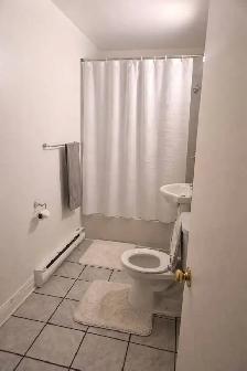 3 1/2 Villeray 1er juillet - Photo 4