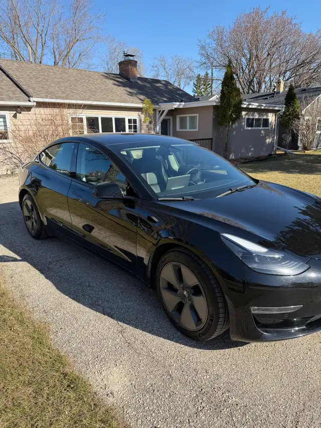 2021 Tesla Model 3 - Photo 2