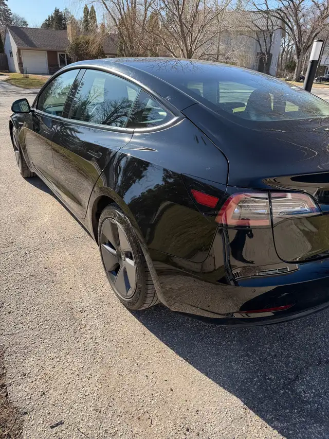2021 Tesla Model 3 - Photo 3