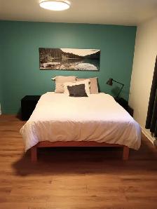 Chambre avec entrée indépendante à louer - Photo 2