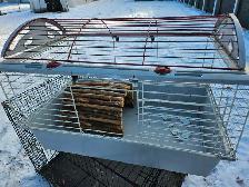 POULES ROUSSES DE PLUS DE 22 SEM - Photo 2
