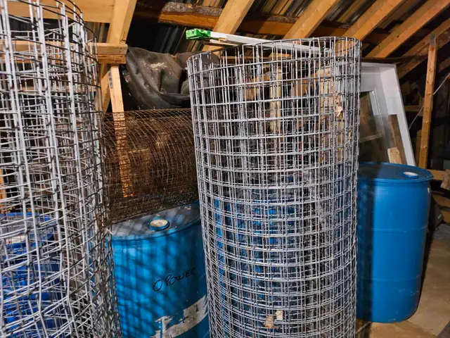 POULES ROUSSES DE PLUS DE 22 SEM - Photo 4