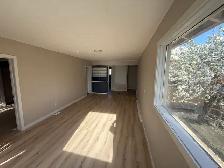 3 bed one bath - Photo 9