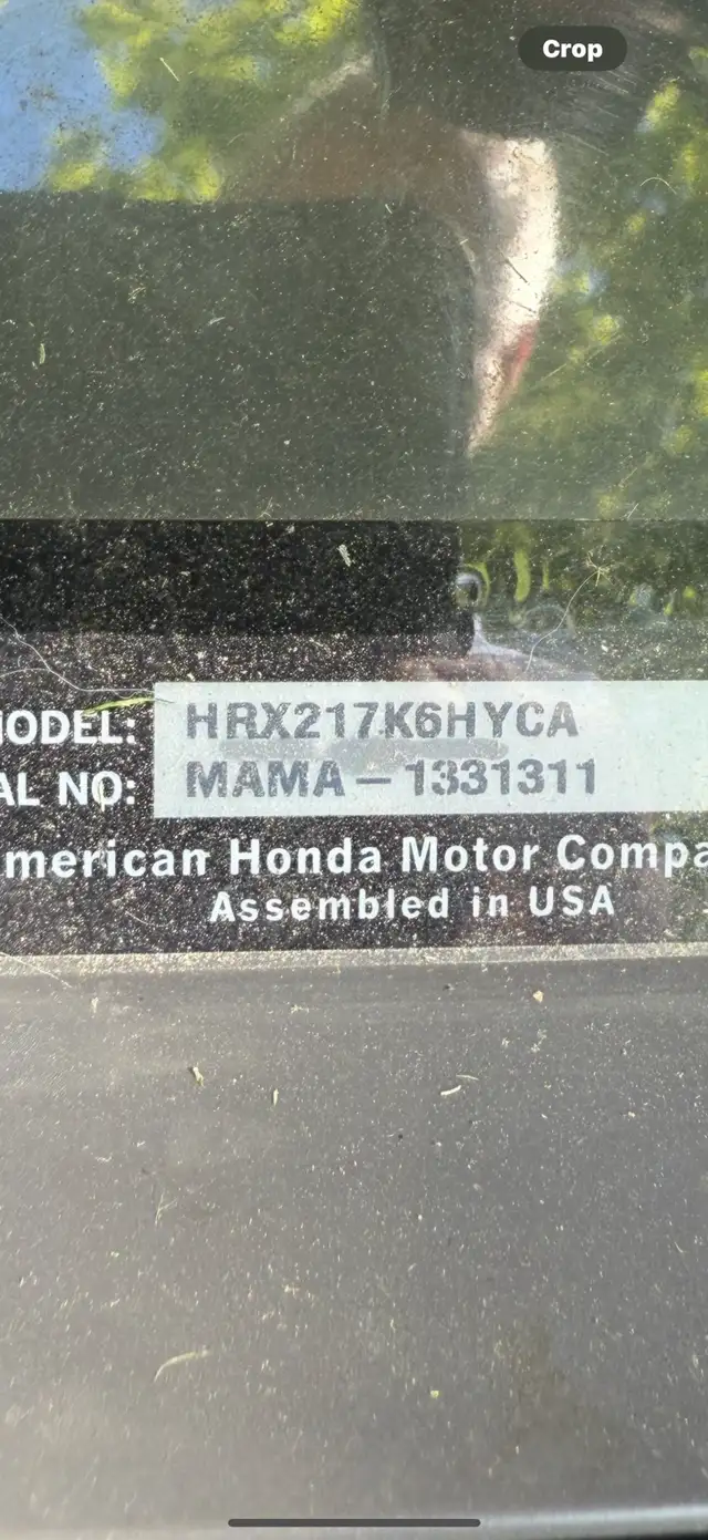 Grass cutting services