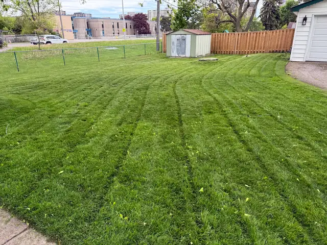 Grass cutting services - Photo 4