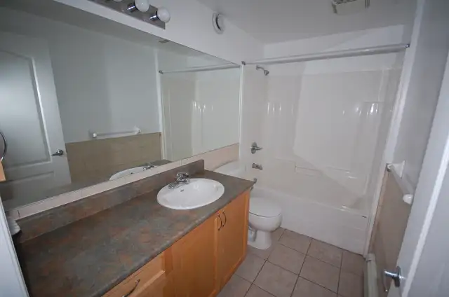 4 Bedroom Downtown Halifax | September 2026 - Photo 7