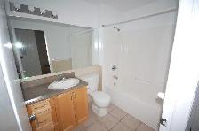 4 Bedroom Downtown Halifax | September 2026 - Photo 8