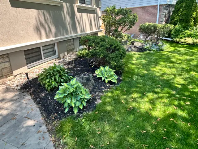 Martins landscaping