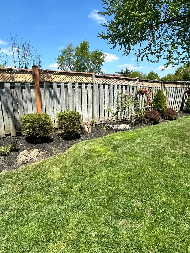 Martins landscaping - Photo 3