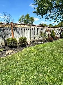 Martins landscaping - Photo 3