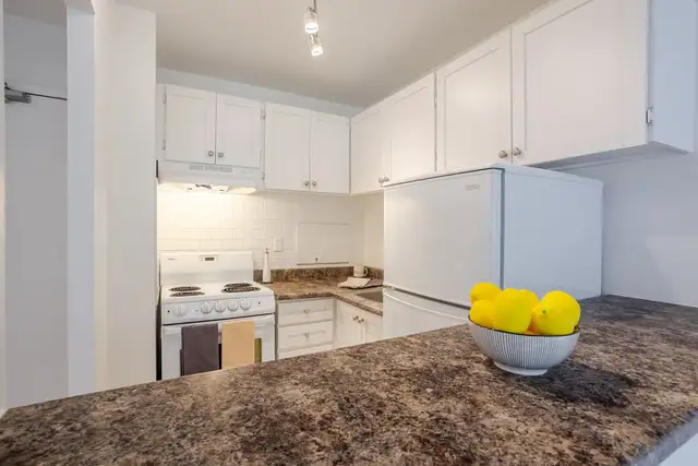 Studio,louer,rent,downtown, Montréal, centre-ville - Photo 4