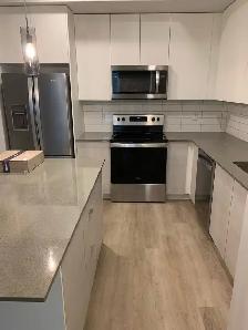 $2,100 · Modern 2 Bedroom, 2 bathroom Condo for rent in Lakeview - Photo 4