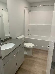 $2,100 · Modern 2 Bedroom, 2 bathroom Condo for rent in Lakeview - Photo 6