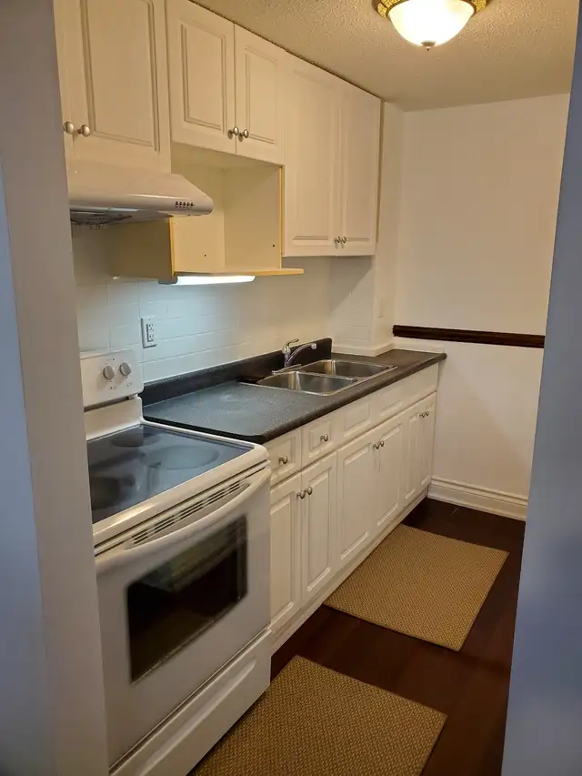 Spacious 1 bedroom apt in a house - Etobicoke, Centennial Park