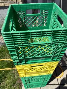 Milk Crates - Photo 2