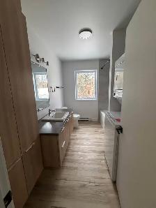 4 1/2 à louer à Hull - Photo 3