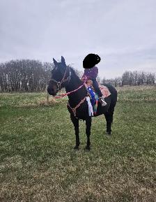 Broke Kid Safe AQHA - Photo 2
