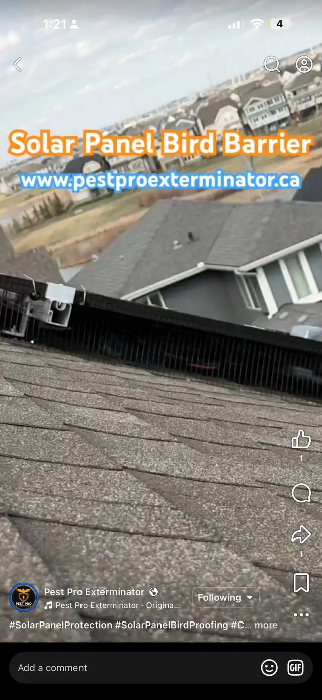 Pest Control  / Pegion proofing solar panel / More/