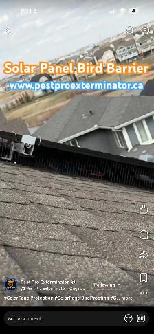 Pest Control  / Pegion proofing solar panel / More/