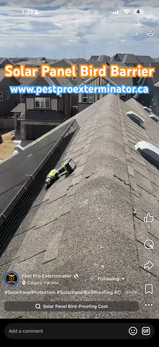 Pest Control  / Pegion proofing solar panel / More/ - Photo 2