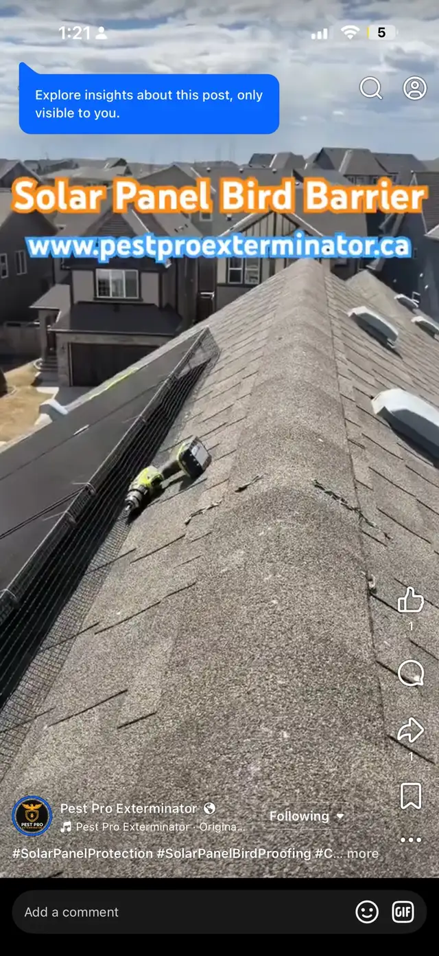 Pest Control  / Pegion proofing solar panel / More/ - Photo 3