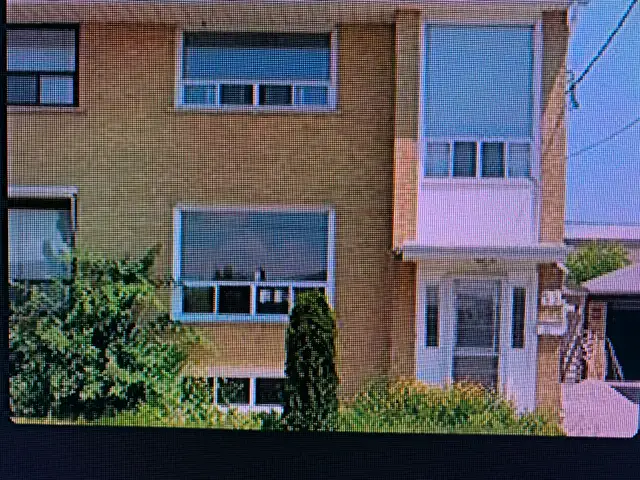 1 bedroom basement apartment  - $1,350 all inclusive