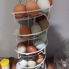 Laying hens - Photo 4
