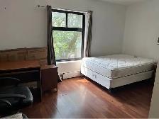 FURNISHED ROOMS AVAILABLE! DOWNTOWN ST CATHARINES!