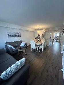 371 Chemin McConnell - 371-1 Apartment for Rent - Photo 4