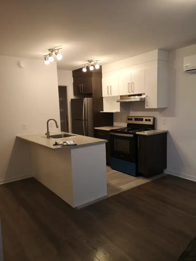 327 Av. de l'Hippodrome - 327-4 Apartment for Rent - Photo 2