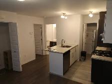 327 Av. de l'Hippodrome - 327-4 Apartment for Rent - Photo 3