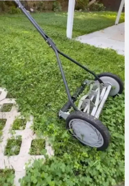 Manual push lawn mower (no gas, no electric)