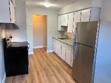 newly renovated 2 bed 1 bath private balcony 14 windsor guelph
