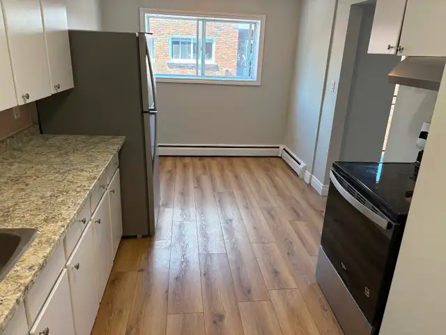 newly renovated 2 bed 1 bath private balcony 14 windsor guelph - Photo 2