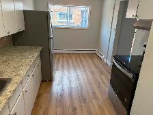 newly renovated 2 bed 1 bath private balcony 14 windsor guelph - Photo 2