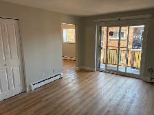 newly renovated 2 bed 1 bath private balcony 14 windsor guelph - Photo 3