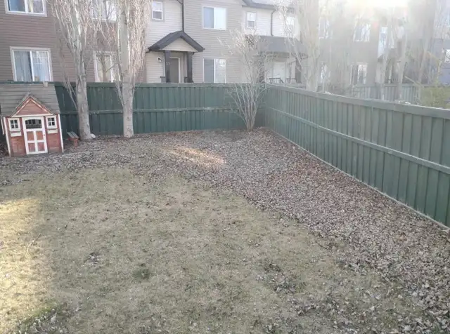Cash Work Today - Spring Cleanup Labourers Needed - Photo 2